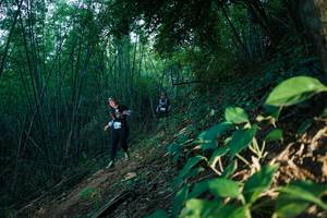 BIB: 
                            <button type="button" onclick="openModal(28124519)" class="btn btn-primary btn-sm float-right btn-popup" data-toggle="modal" data-target=".modal-high-quality">
                        <i class="fas fa-shopping-cart"></i> Add to Cart
                    </button>
                                            <button type="button" onclick="isThisMe(28124519, true)" class="btn btn-success btn-sm float-right btn-popup btn-isme hidden" data-toggle="tooltip" data-placement="bottom" title="นี่คือรูปของคุณใช่ไหม คลิกที่นี่เพื่อเอาเข้าอัลบั้ม">
                        <i class="fas fa-plus"></i> Add to album
                    </button>
                    <button type="button" onclick="isThisMe(28124519, false)" class="btn btn-warning btn-sm float-right btn-popup btn-isnotme hidden">
                        <i class="fas fa-ban"></i> Remove from album
                    </button>